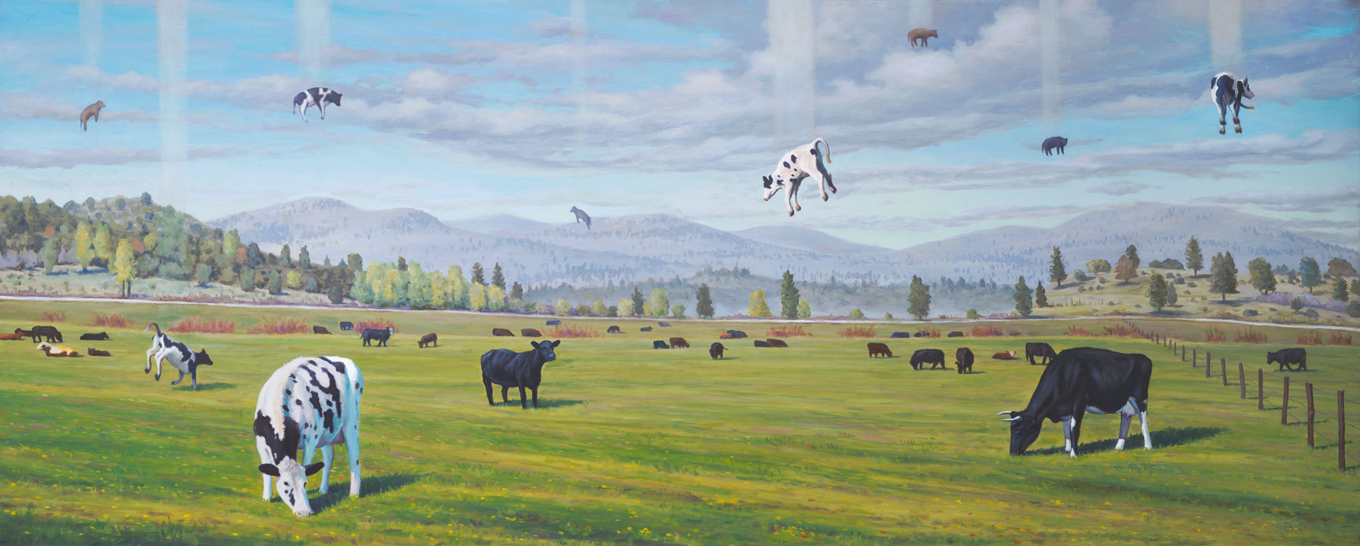 Ascending Cows aka the Great Bovine Rapture, painting of cows ascending to the sky,  art meaning is happiness, art about adapting,art conveying positive joy, art with cattle, art with cows, art with a ranch in a field with a pasture, art about fate chance hope, art wtih floating cows, art meaning enlightened enlightenment, soulful uplifting inspirational art, soul stirring illusion art, romantic art,  surrealism, surreal art, dreamlike imagery, fanciful art, fantasy art, dreamscape visual, metaphysical art, spiritual painting, metaphysical painting, spiritual art, whimsical art, whimsy art, dream art, fantastic realism art, limited edition giclee, signed art print, fine art reproduction, original magic realism oil painting by Paul Bond
